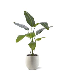 Plante artificielle Strelitzia Nicolai 120cm