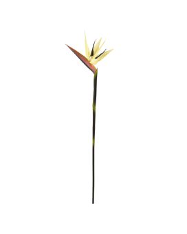 Branche de Strelitzia artificielle Deluxe 90cm - Creme
