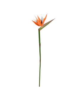 Branche de Strelitzia artificielle Deluxe 90cm - Orange