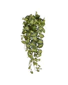 Syngonium en chute artificielle de 90cm