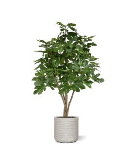 Arbre artificiel Figue 120cm