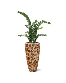 Zamioculcas plante artificielle 100 cm