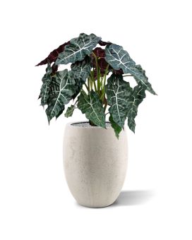 Alocasia plante artificielle 75 cm