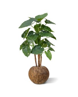 Alocasia Calidora Plante artificielle Deluxe 125 cm