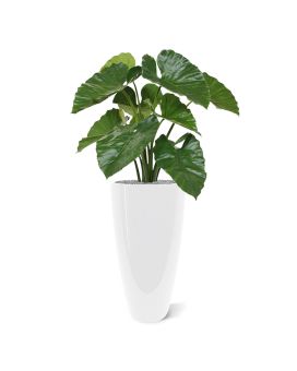 Alocasia Calidora plante artificiel de 70 cm anti-feu