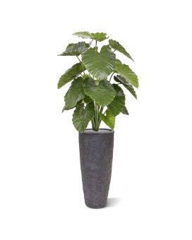 Alocasia Calidora plante artificielle de 115 cm