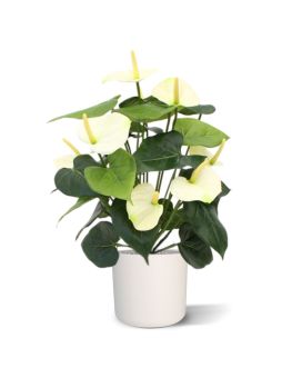 Anthurium artificiel deluxe crème 50cm