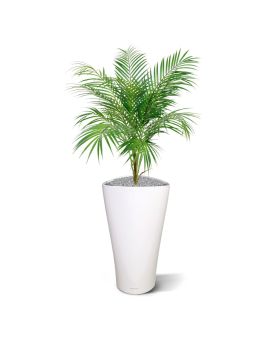 Areca Palmier artificielle en bouquet de 80 cm