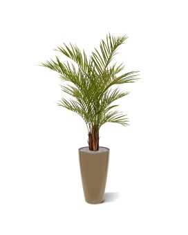 Areca Palmier artificielle deluxe 150 cm