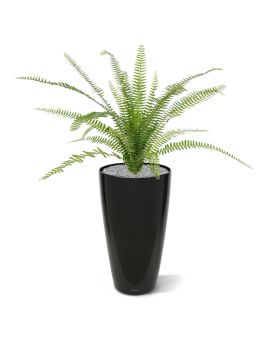 Bouquet de Fougère artificielle Asplenium de 75 cm