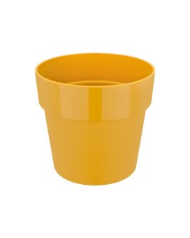 b.for original round 18 ochre