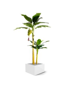 Bananier Arbre artificielle de 240cm