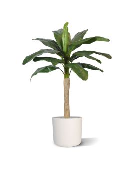 Bananier promo palmier artificielle de 120 cm