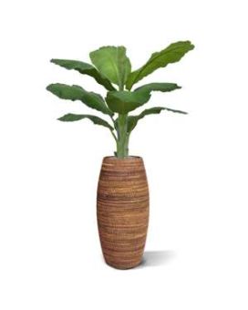 Banane Royal plante artificielle 165cm en pot