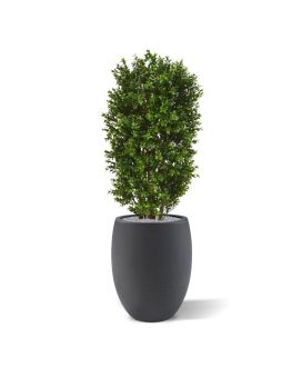 Colonne de buis artificielle deluxe 90 cm
