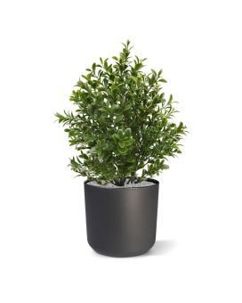 Plante de Buis artificiel de 30 cm UV en pot