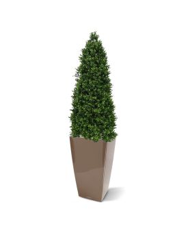 Buis de Pyramide Artificielle de 170 cm anti-uv
