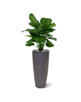 Calathea fasciata plante artificiel 80cm