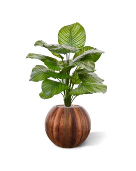 Calathea Fasciata plante artificielle de 70 cm