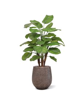 Calathea Fasciata plante artificiel Deluxe 110cm