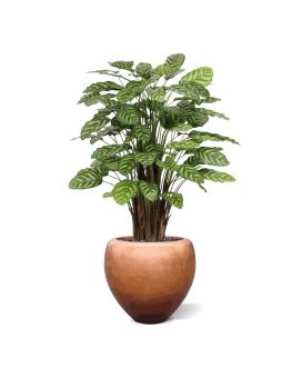 Calathea Makoyana plante artificiel Deluxe 115cm