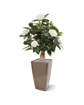 Camelia plante artificielle de 65 cm crème sur socle