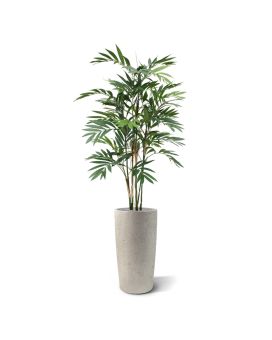 Chamaedorea Palmier Artificielle deluxe 150 cm