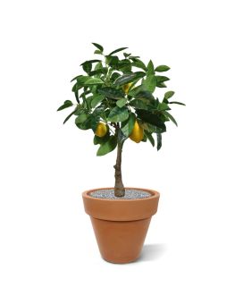 Citronnier plante artificielle de 70 cm