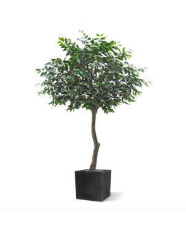 Arbre artificielle Caféier Arabica Géant 320 cm