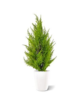 Thuya artificiel de 45cm en pot (jaune – vert)