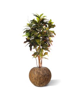 Croton arbre artificielle deluxe de 130 cm