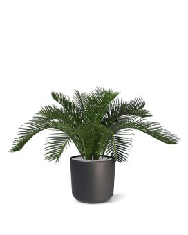Palmier Artificielle de Cycas N 50 cm
