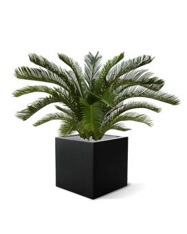 Palmier de Cycas Artificielle M deluxe de 80 cm UV