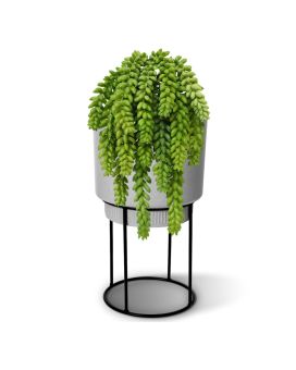 Sedum Morganianum plante artificielle de 30 cm