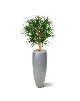 Draceana Reflexa Anita plante artificielle 95 cm