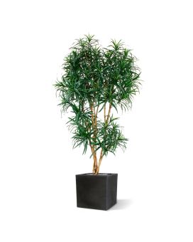 Dracaena Reflexa XL Arbre Artificielle 190 cm vert