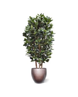 Ficus Elastica Robusta Artificiel Arbre Deluxe 300cm Vert