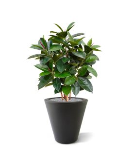 Elastica Robusta plante artificielle 90 cm vert FR