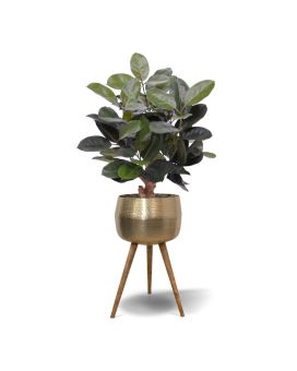 Elastica Robusta Plante artificiel 95cm vert
