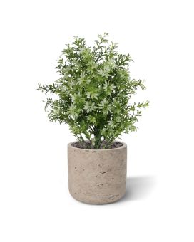 Eucalyptus Artificiel 30cm UV Blanc/Vert