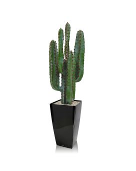 Cactus artificiel d’ Euphorbia 70 cm en pot