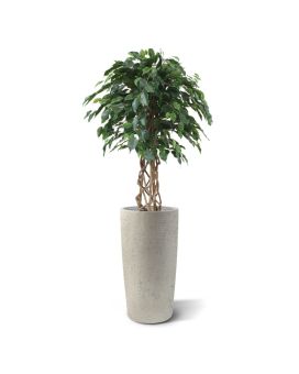 Ficus Exotica Articifielle 125 cm vert boule sur tige