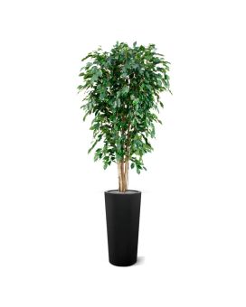 Ficus Exotica Plante Artificielle deluxe 180 cm vert