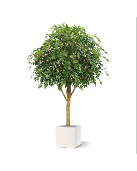 Ficus Exotica Géant de 290 cm arbre artificiel anti-feu