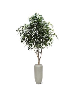 Ficus Exotica arbre artificiel de 330 cm