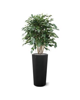 Ficus Exotica Plante Artificielle XL 110 cm