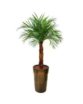 Areca palmier artificiel sur tige 175cm