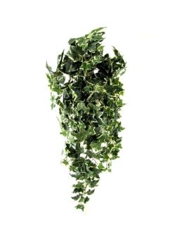 Hedera plante artificielle suspendue 110cm - panachée