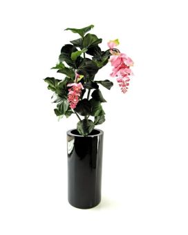 Medinella Plante Artificiele de 90cm