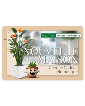 Bon cadeau numérique Maxifleur - Nouvelle Résidence